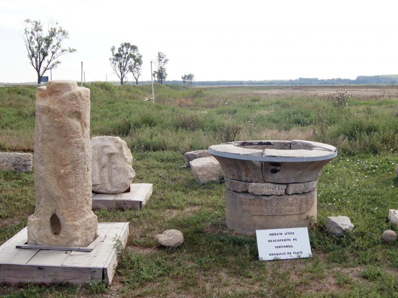 Orasul_de_Floci_-_vestigii.JPG