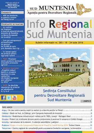 inforegionalsudm-1469443520.png