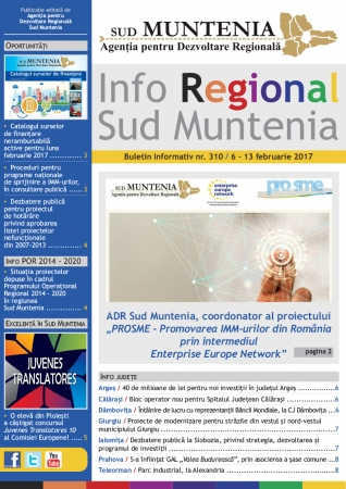 inforegionalsudm-1487080613.png