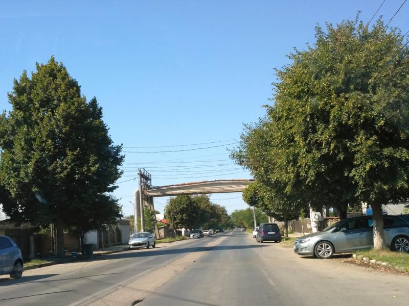 s-002_54.jpg
