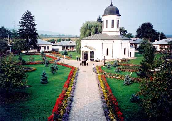 zamfira-1507893433.jpg